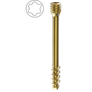 AUXEIN 2.5MM CANNULATED HERBERT SCREW, SHORT  THREAD, (STAR HEAD)  